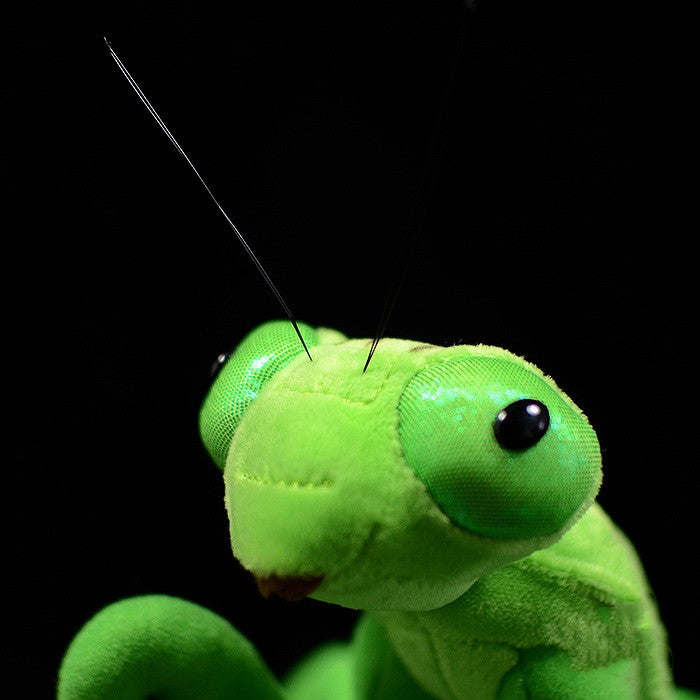 Lifelike Mantis Plush Toys Stuffed Animals Toy For Kids